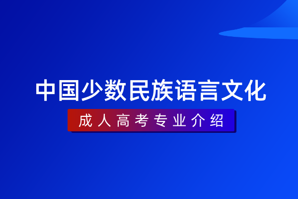 中国少数民族语言文化(专科)550305