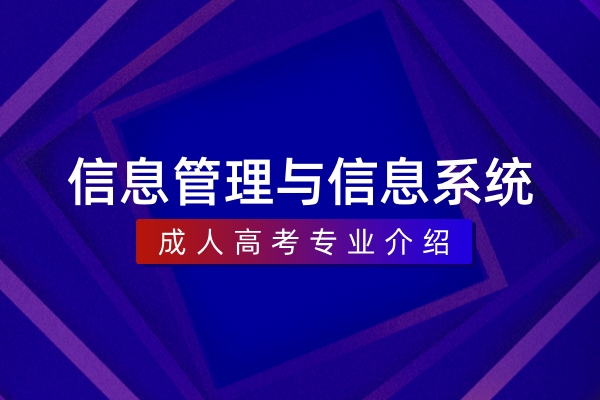 信息管理与信息系统(本科)