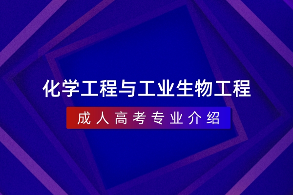 化学工程与工业生物工程(本科)