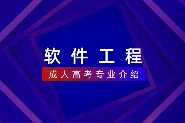 软件工程(本科)