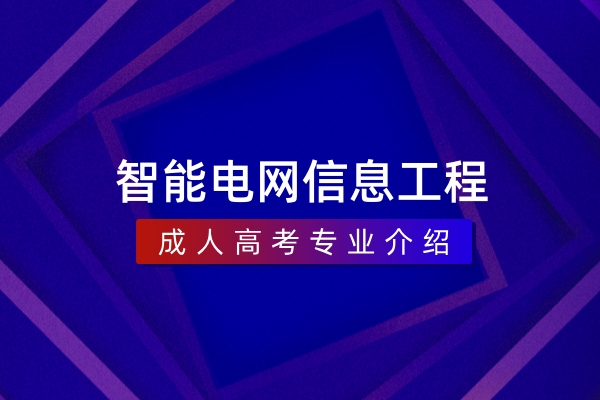 智能电网信息工程（本科）
