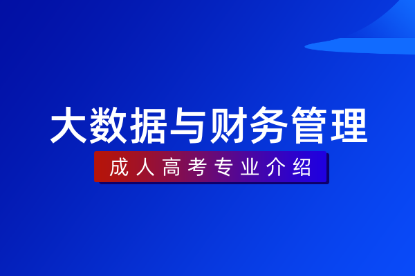 大数据与财务管理(本科)