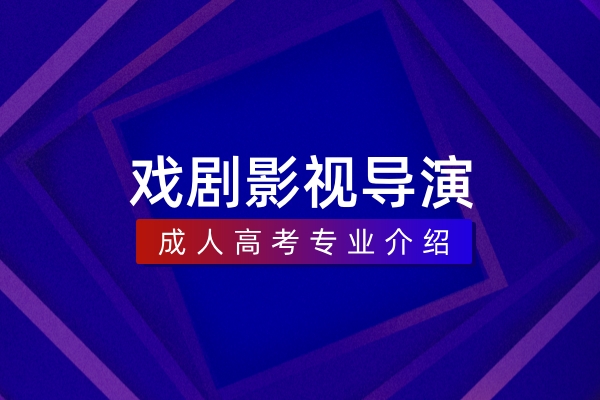 戏剧影视导演(本科)