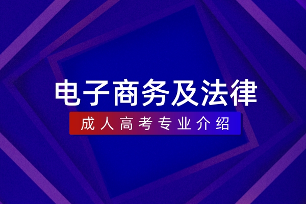电子商务及法律(本科)
