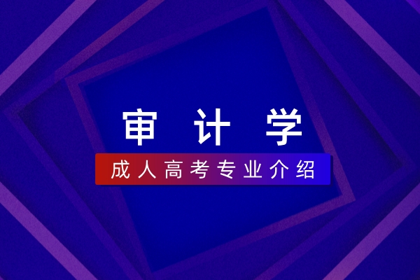 审计学(本科)