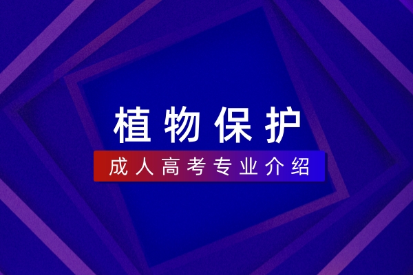 植物保护(本科)