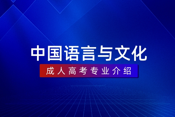 中国语言与文化(本科)050108T