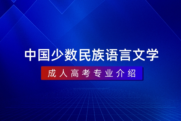 中国少数民族语言文学（本科）