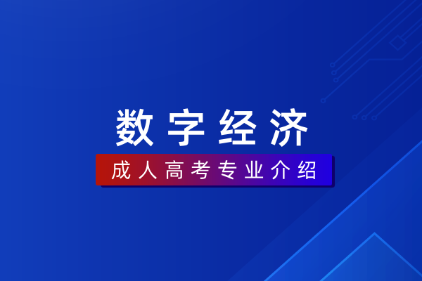 数字经济（本科）020109T
