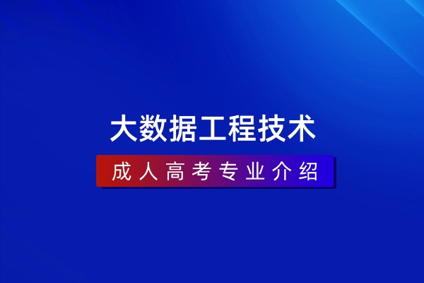 大数据工程技术(本科)310205